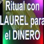 RITUAL ATRAE DINERO con LAUREL y MONEDAS senor caveira