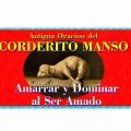 oracion-del-corderito-manso.jpg