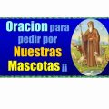 oracion-para-las-mascotas