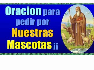 oracion-para-las-mascotas