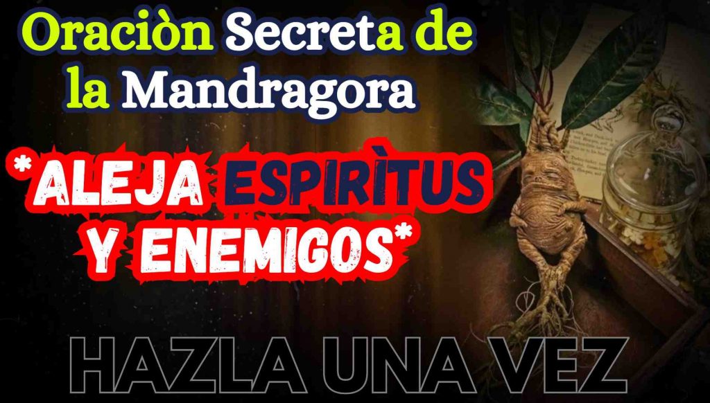 Invoca a la Mandragora Y Aleja enemigos y Demonios
